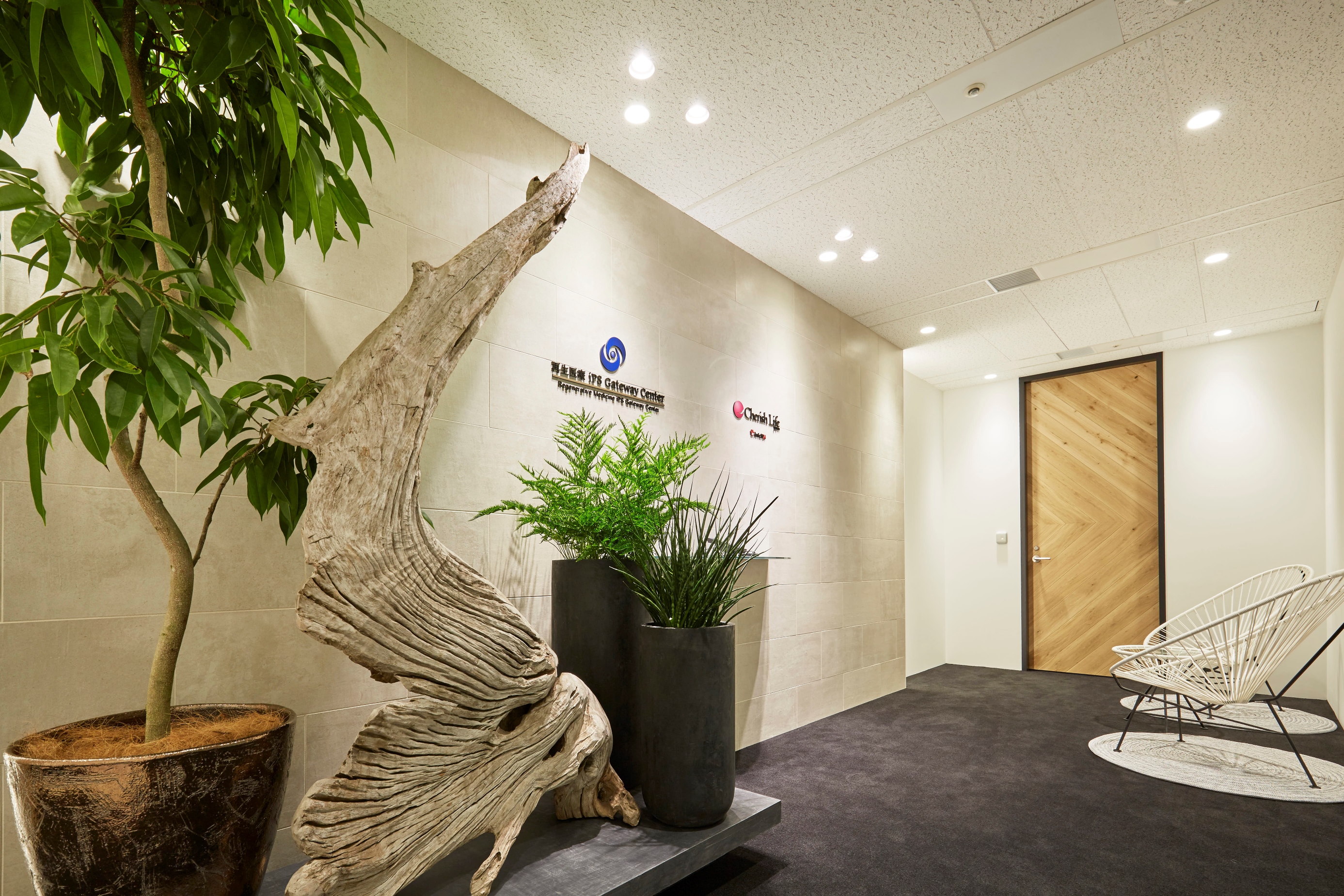 株式会社チェリッシュライフジャパン事例7